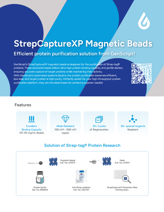 StrepCaptureXP MagBeads Flyerr