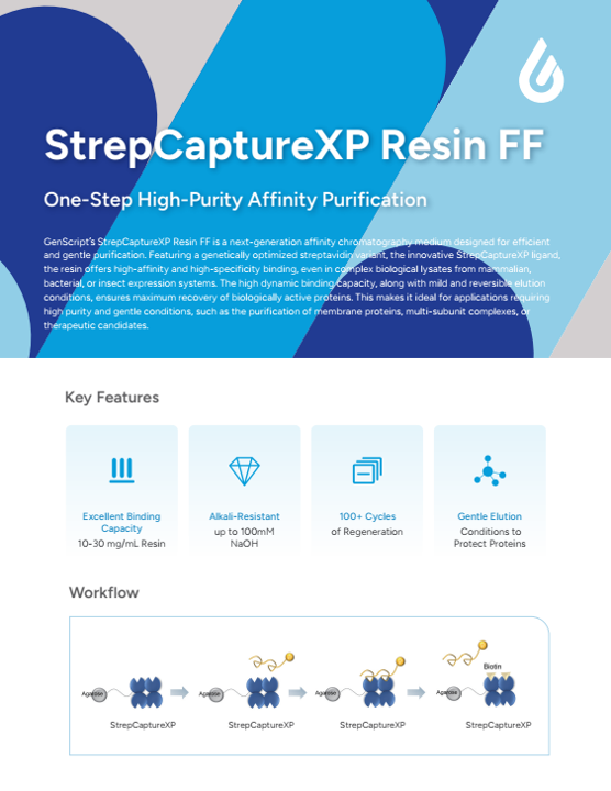 StrepCaptureXP Resin Flyer