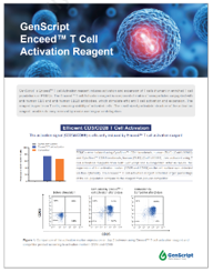 Enceed™ T cell Activation Reagent
