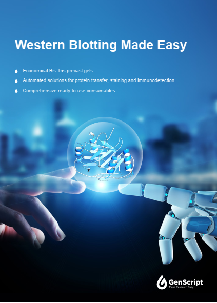 Western Blotting Brochure