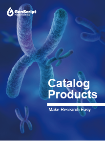 Catalog Products All In One Brochure