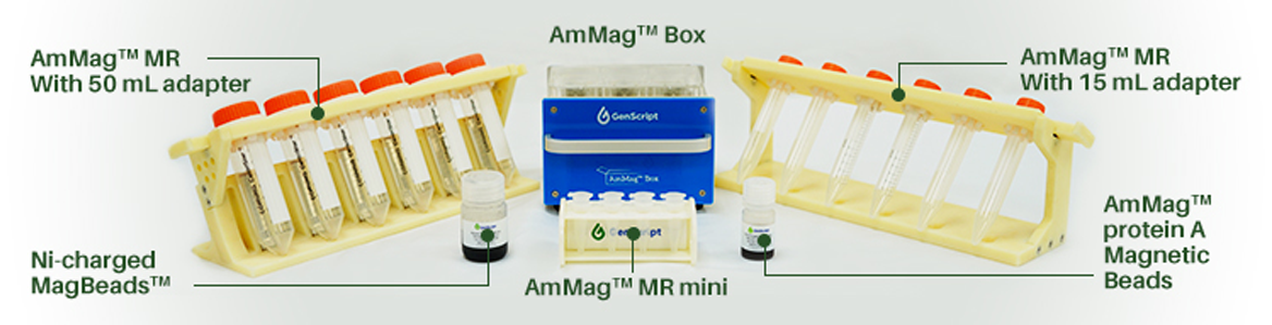 am-mag-box