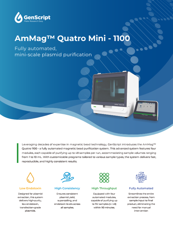 AmMag™ Quatro Mini Flyer