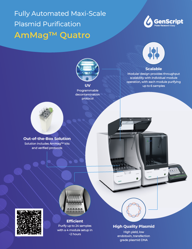 GenScript’s AmMag™ Quatro Flyer