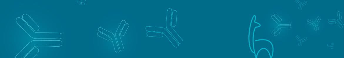 Epitope Tag
					Antibodies