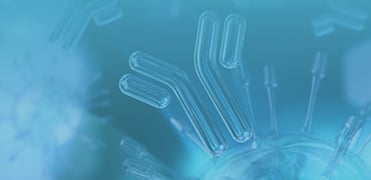 Anti-GS Linker Antibodies