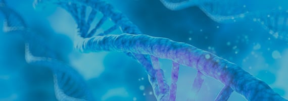 DNA Assembly