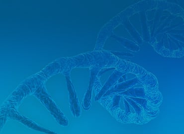 IVT mRNA Reagents