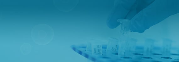 PCR Reagents