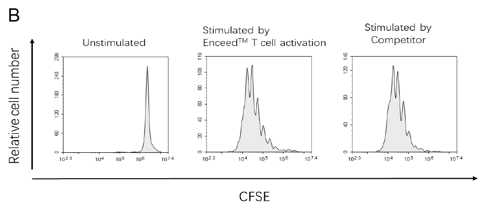 T cells Measurement using CFSE
