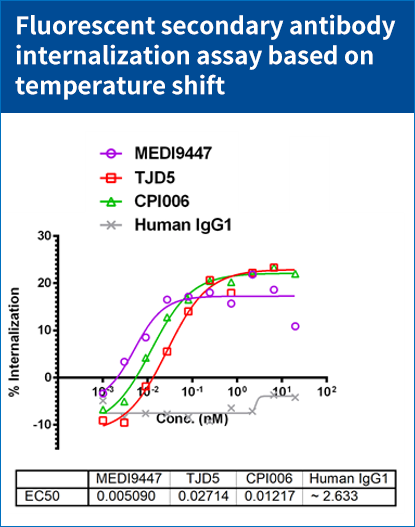 CHO-K1/CD73(货号: RD00783）细胞上内化以及杀伤评估