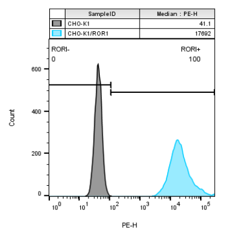 CHO-K1/ROR1 (货号: RD00843)的FACS分析以及活细胞成像的内化分析