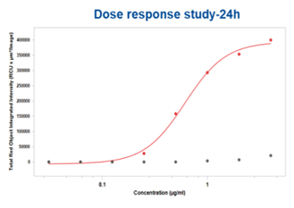 CHO-K1/ROR1 (货号: RD00843)的FACS分析以及活细胞成像的内化分析