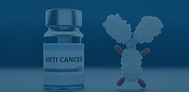 ADC Target Stable Cell Lines