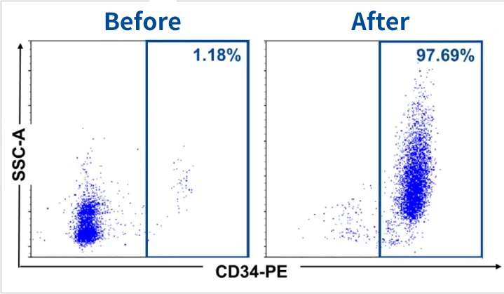 CD34+ cells were enriched from the starting material using CytoSinct CD34 Nanobeads or the current standard method followed by flow cytometry analysis. High purity and recovery of CD34+ cells were achieved after isolation and highly comparable as using the current standard method. 
