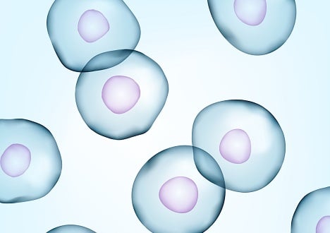 Cell Isolation & Activation PL CytoSinct™ Nanobeads Webpage