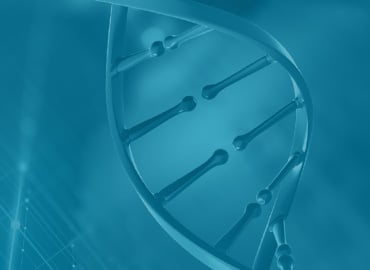 Immune Checkpoint Antibodies