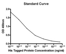 standard curve using His Tag ELISA Detection Kit