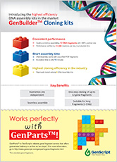 DNA Assembly Flyer