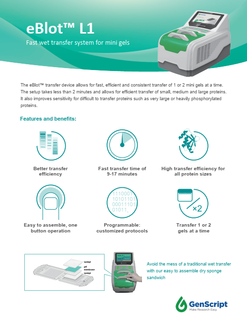eBlot™ L1 Fast Wet Transfter System