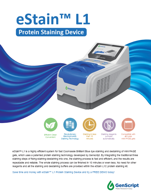 eStain Flyer