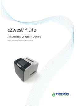 eZwest™ Lite