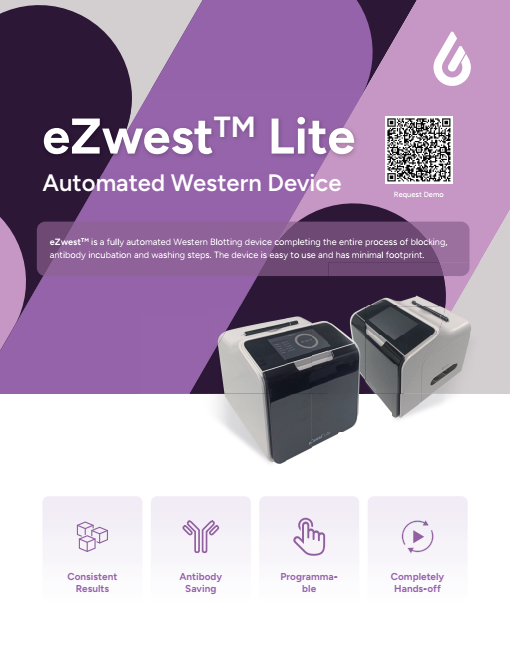eZwest Flyer