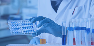 ELISA Detection Kits