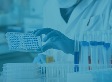 ELISA Detection Kits