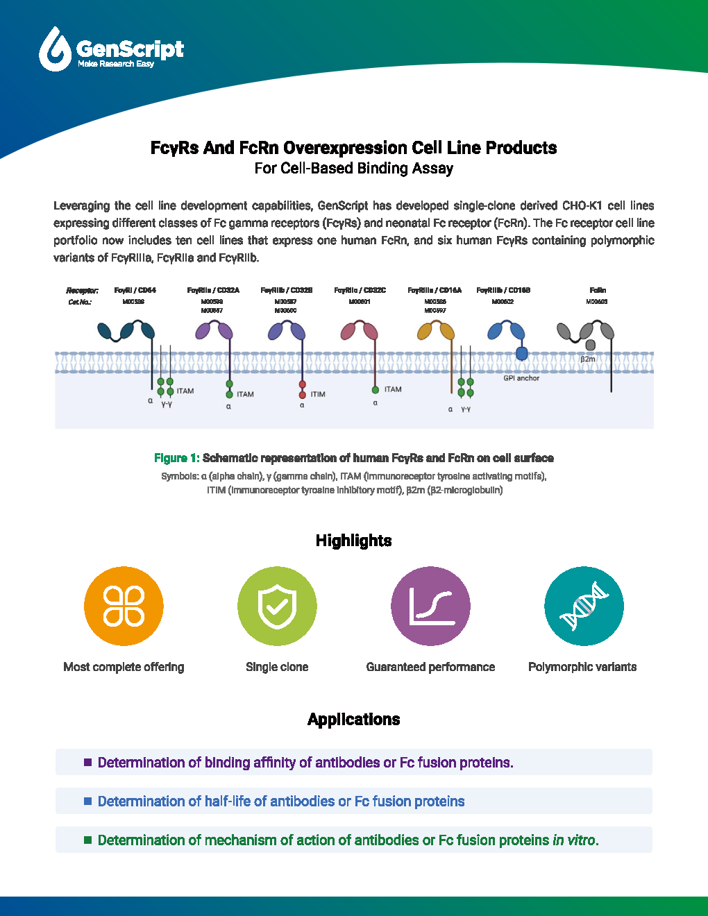Fc Receptor Cell Lines Flyer