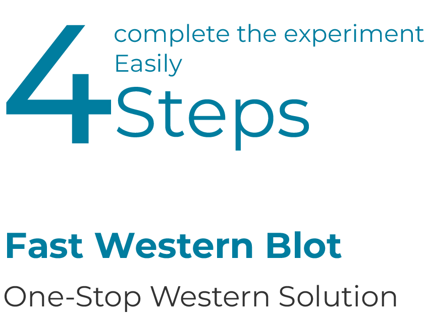fast westen blot