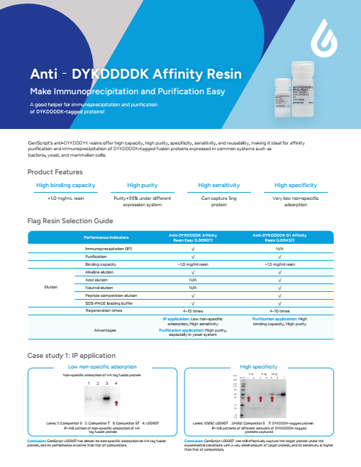 Purification products flyer