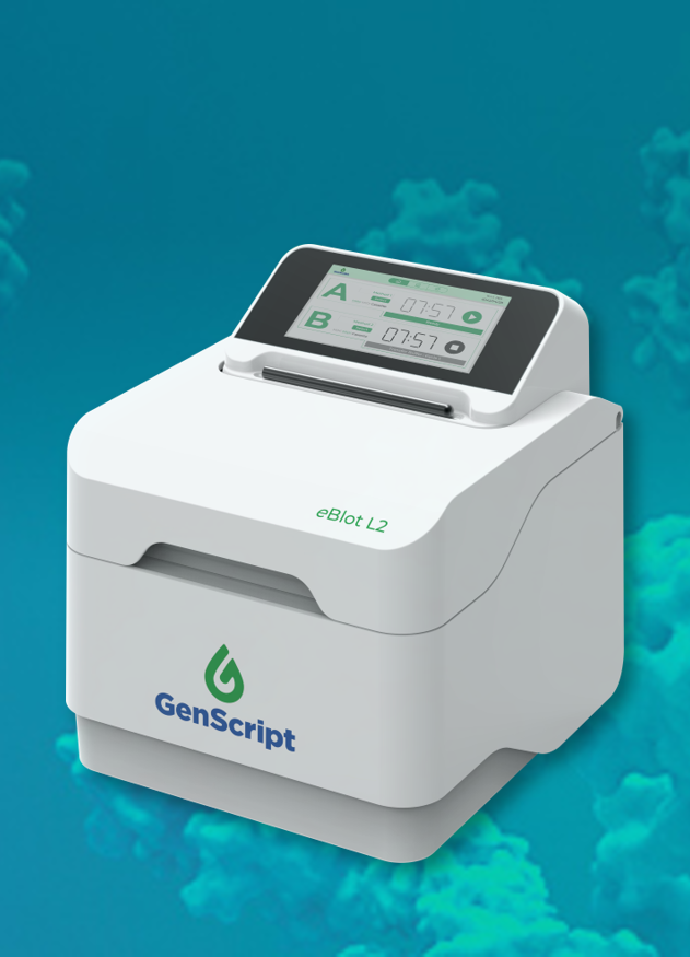 Protein Transfer System eBlot™