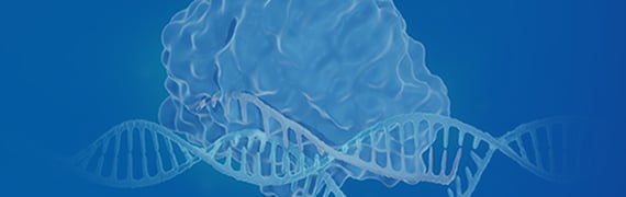 GenCRISPR Synthetic sgRNA Banner