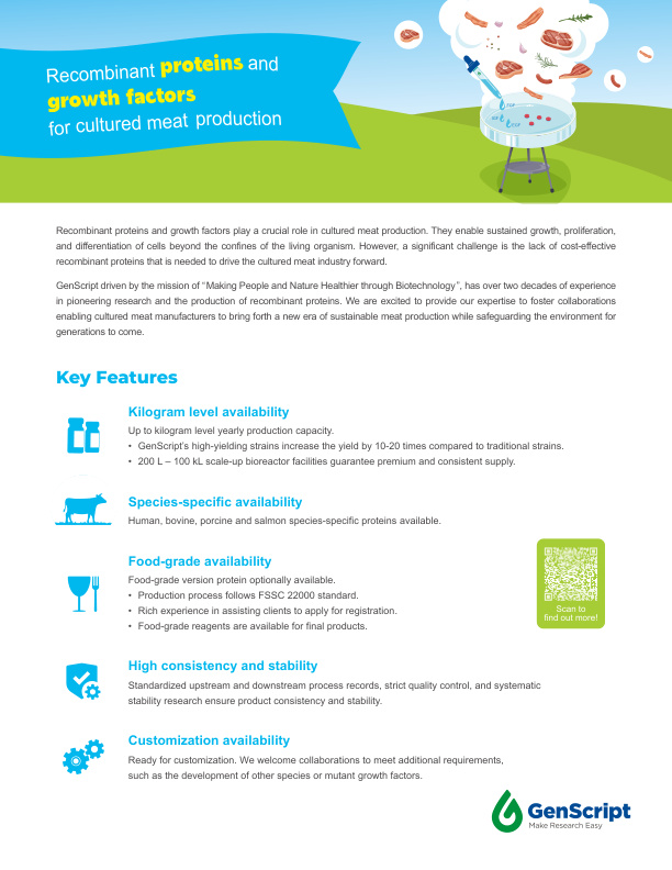 Growth Factors Flyer