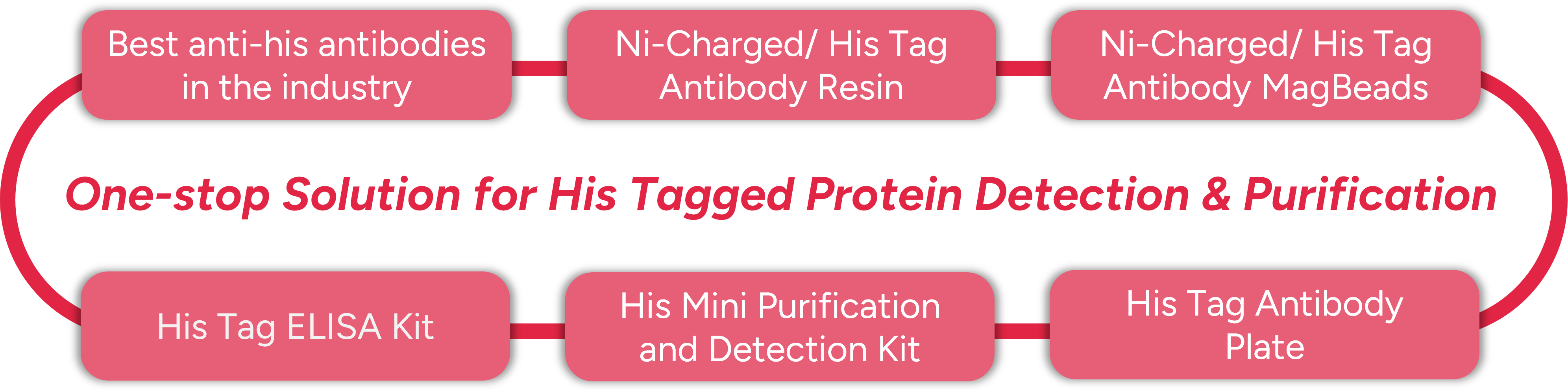 One-stop Solution for His Tagged Protein Detection & Purification