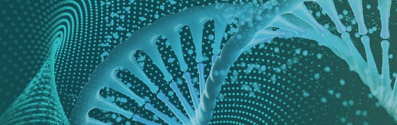 Cas9 / Cas12a / Cas13a Nucleases