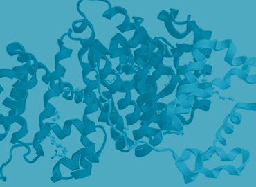 GMP Proteins