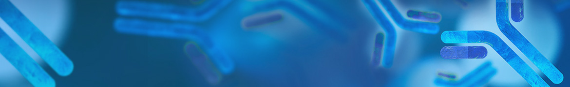 Custom Monoclonal Antibody Services
