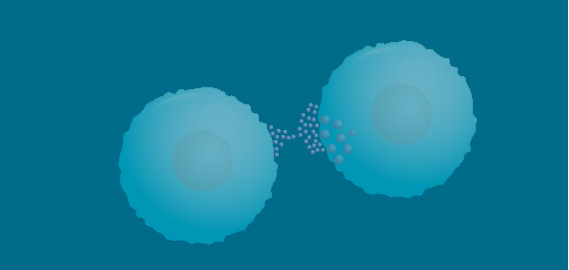 Cytokines