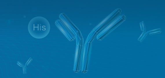 Neuroscience Antibodies