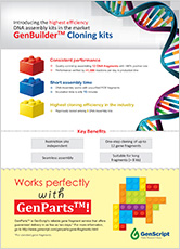 molecular-biology-products-flyer