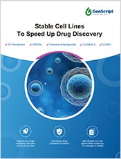 Stable Cell Lines Brochure