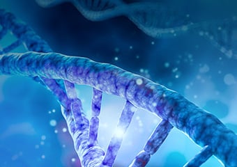 GenBuilder™ DNA Assembly
