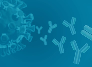 GPCR Antibodies