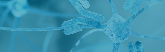 Immune checkpoint antibodies