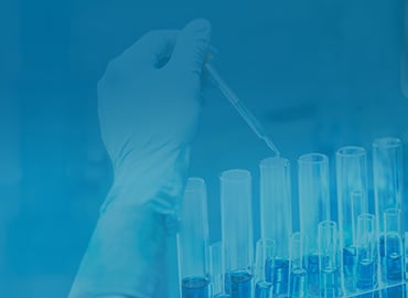 Phospho-specific Antibodies