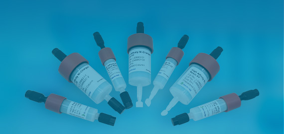 Protein A, G and L Resins