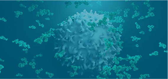 Immunodetection