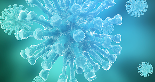 MuLV Titer p30 ELISA Kits